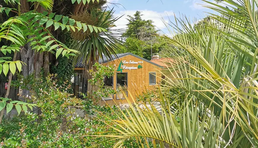 Camping en Vendée